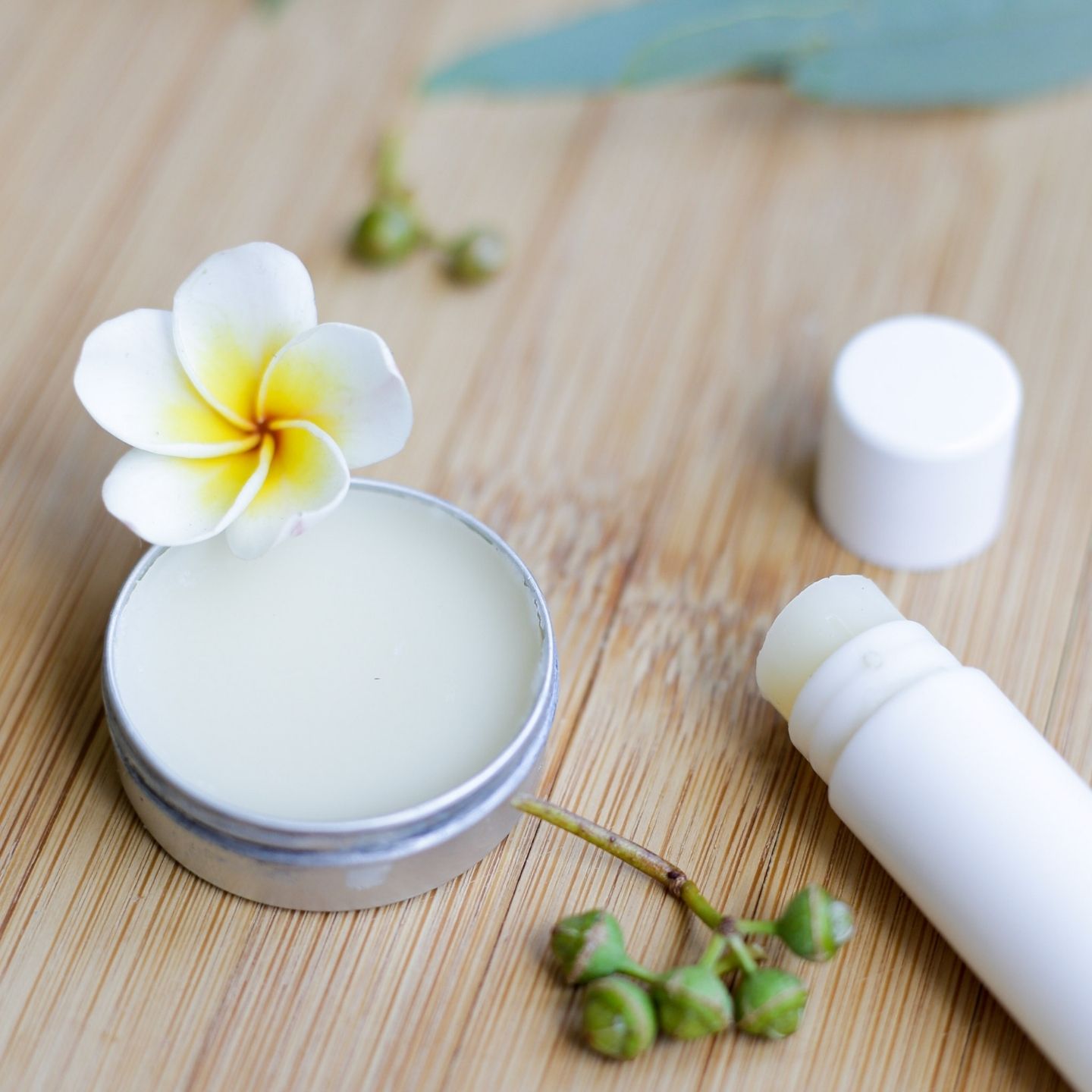 Lip balm in small container and tube - Lip balm recipe with shea butter